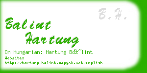 balint hartung business card